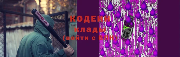 прущие крисы Кодинск