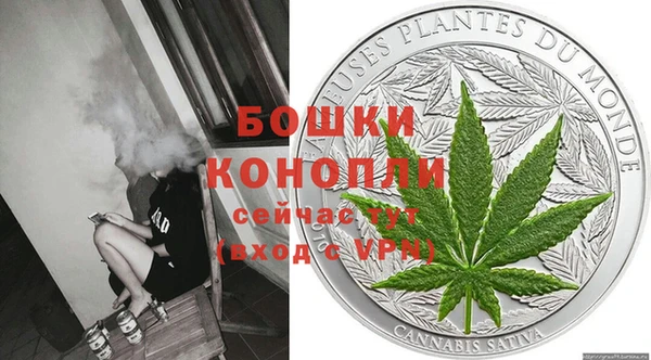 мдпв Козельск