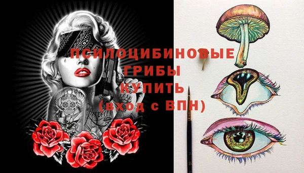 мдпв Козельск