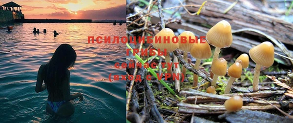 прущие крисы Кодинск