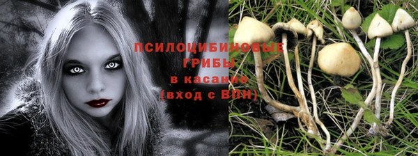 прущие крисы Кодинск