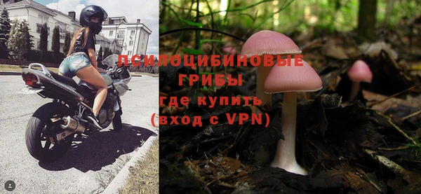 прущие крисы Кодинск