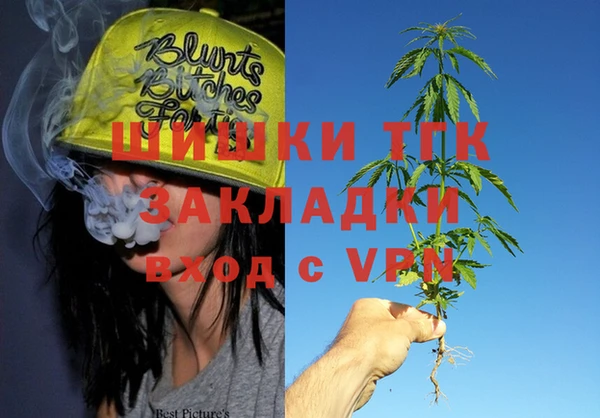 мдпв Козельск