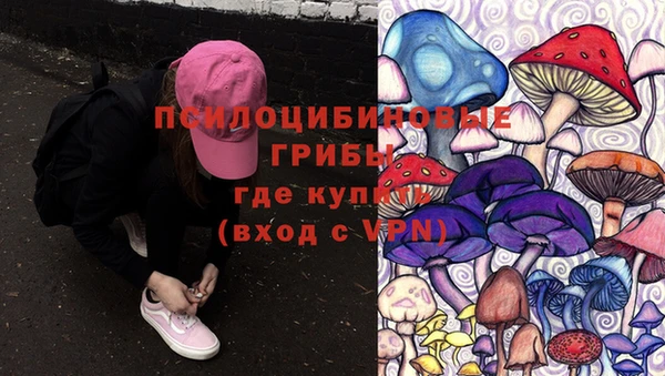 мдпв Козельск