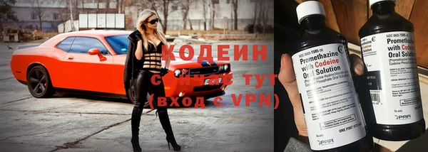 мдпв Козельск