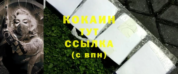 мдпв Козельск